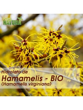 Hidrolato de Hamamelis (Bio)